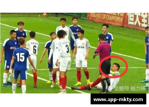 奥特佳球员：超越赛场的巅峰之路